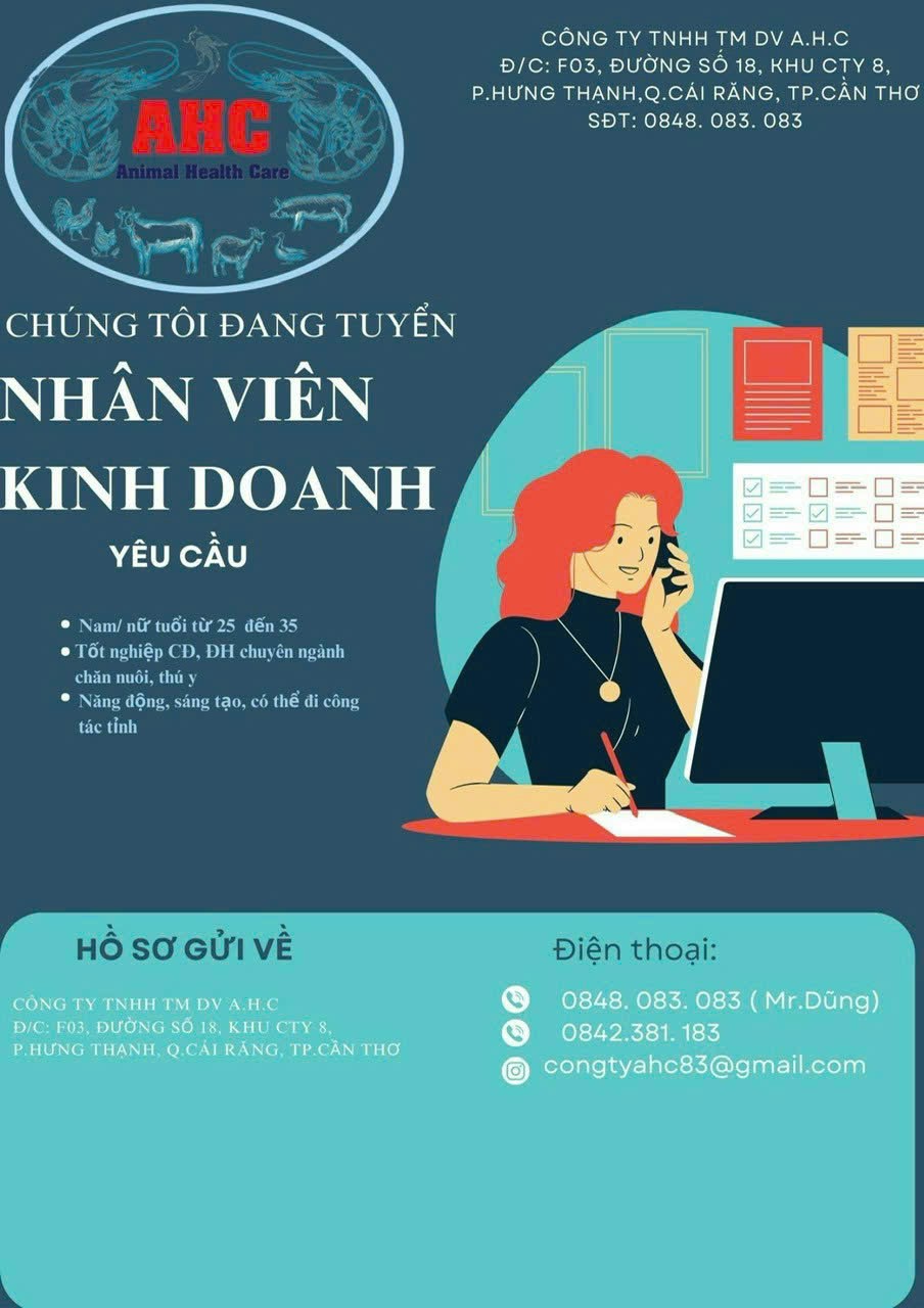 lĩnh vực hoạt động